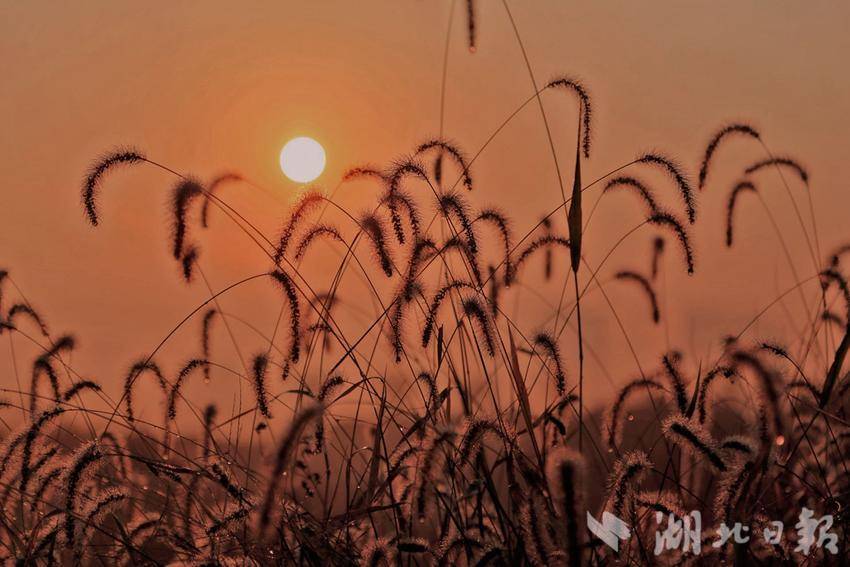 日落时的心情，只有微风和晚霞