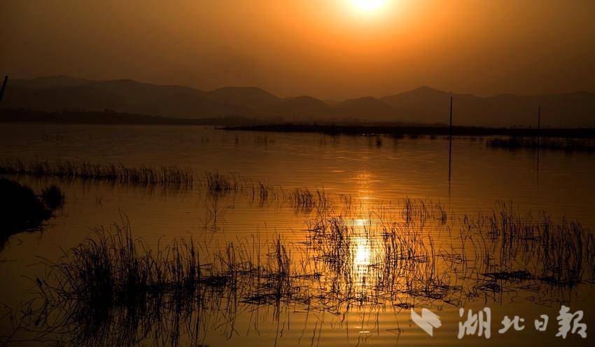 夕阳总会落在你身上，你也会快乐一场