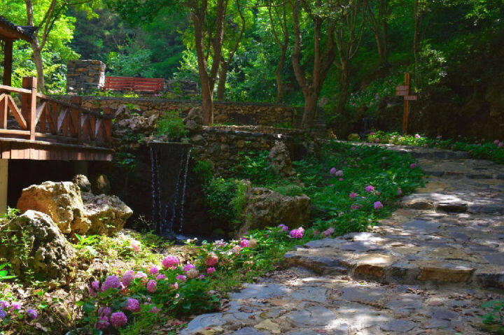 白谷洞村乡村美景一角（余琴 摄）