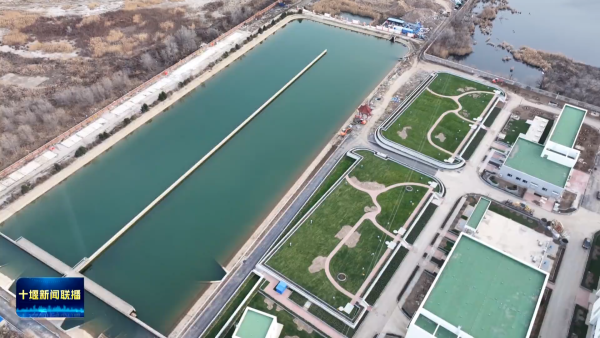 k qdyslwdpaaaaaelftksuqmcc