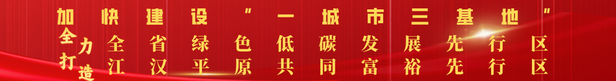 加快建设“一城市三基地”