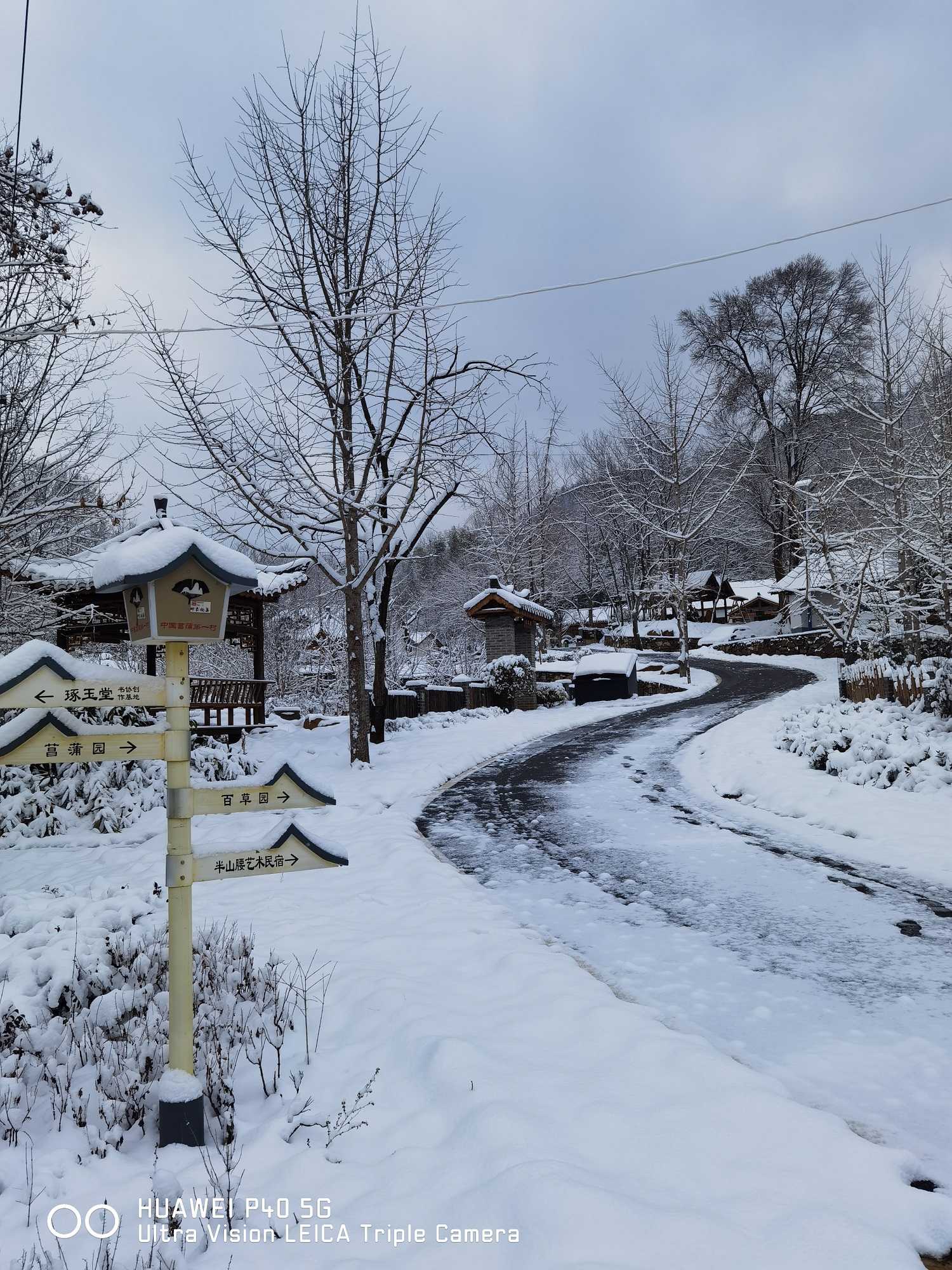 杨集镇菖蒲村    作者：汪平3