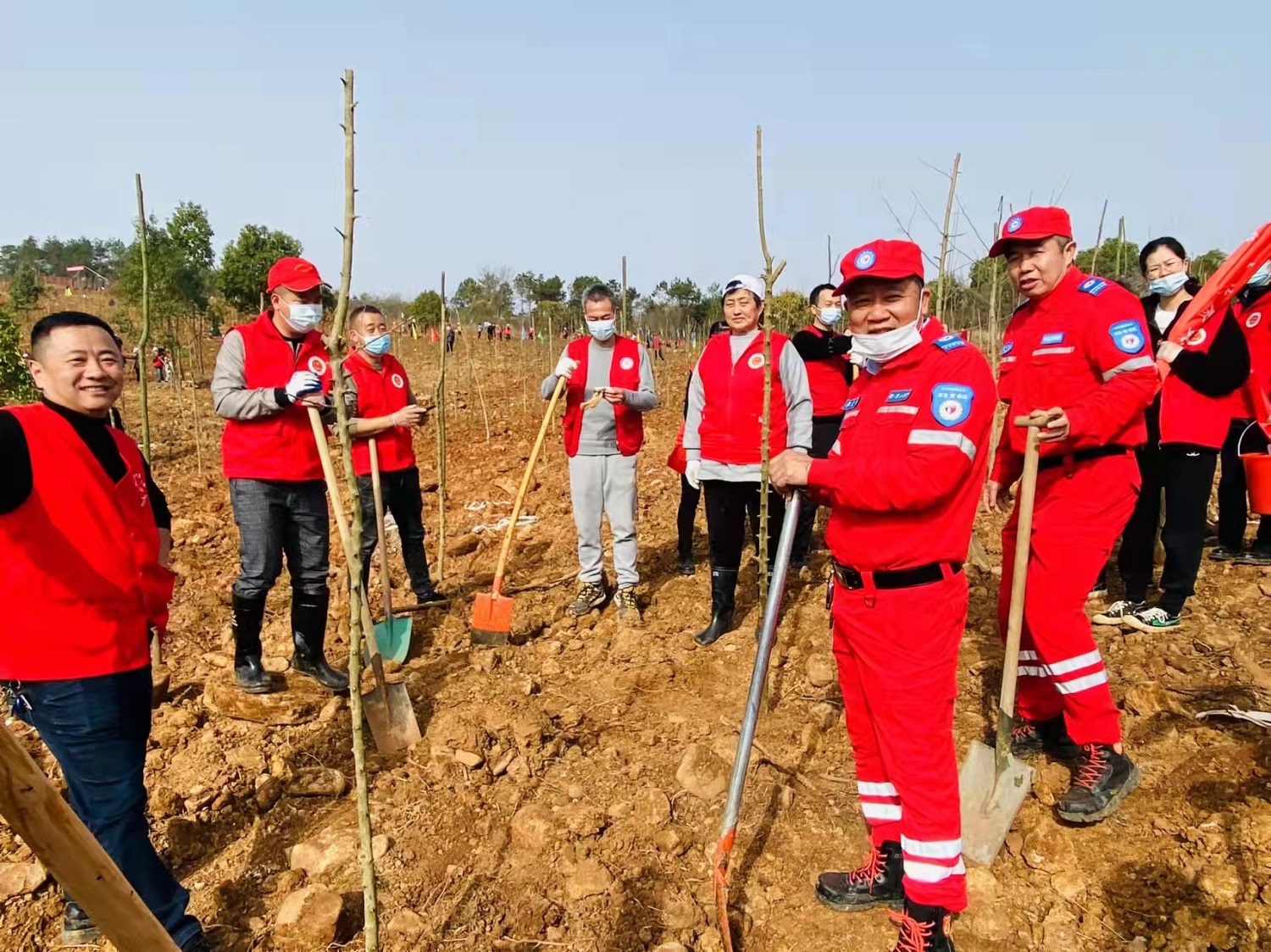 e5b3a48a2f21451e2a87a409fd41ac1