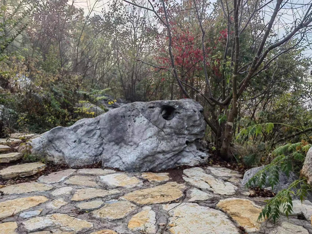 d3c78375a1f9bad54f7b0b7f4519e6d d3c78375a1f9bad54f7b0b7f4519e6d