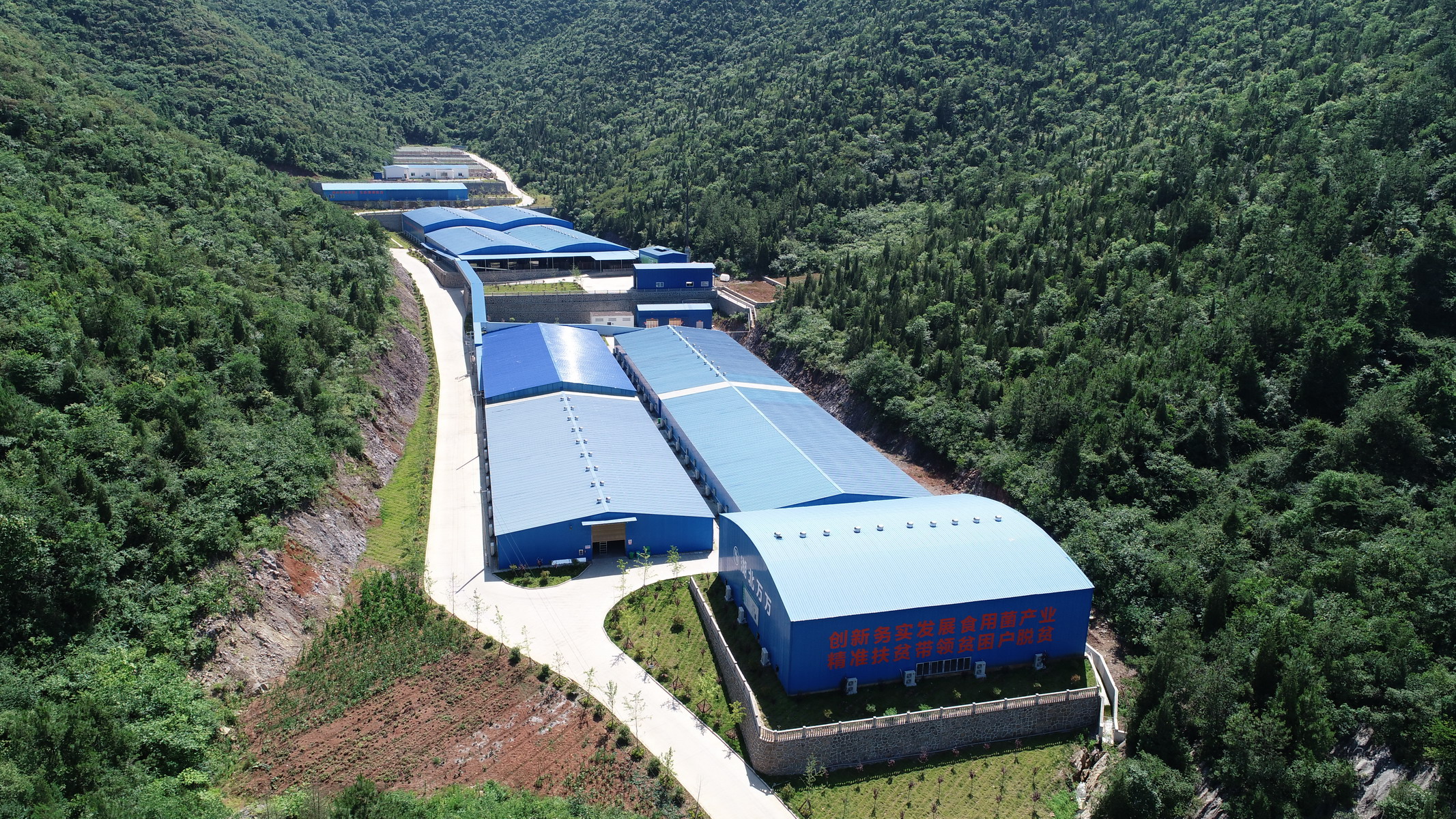 微信图片_2025-08-11_152411_032 微信图片_2025-08-11_152411_032